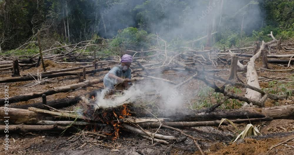 Slash and burn subsistence farmer burning trees in a tropical rainforest. Climate Change.Deforestation Slash and burn subsistence farmer burning trees in a tropical rainforest. Climate Change.Deforestation
