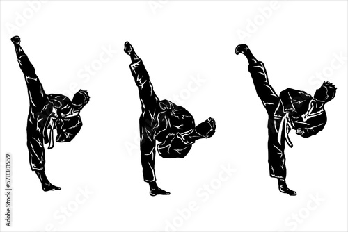 karate kick icon logo vector