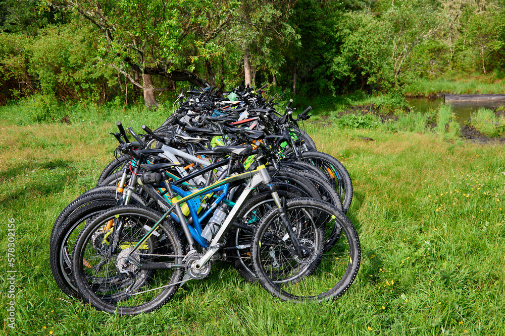Many bicycles stand in a row near a tree in the forest. Mountain bike parked in a forest clearing outside the city