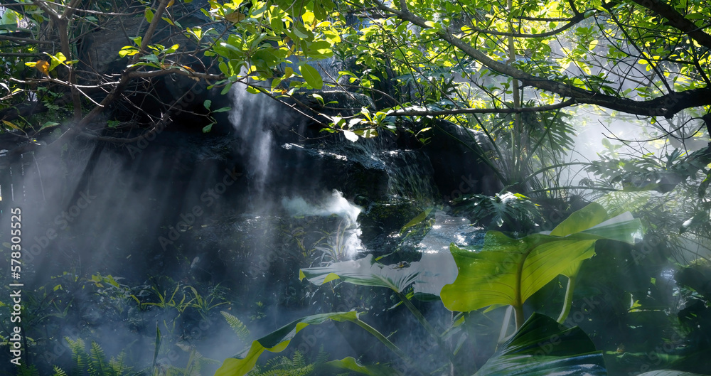 Naklejka premium The Tropical jungle with river and sun beam and foggy in the garden.