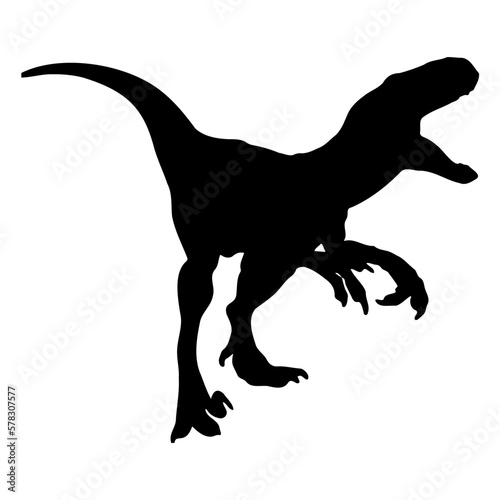 silhouette of a dinosaur velociraptor, raptor photo