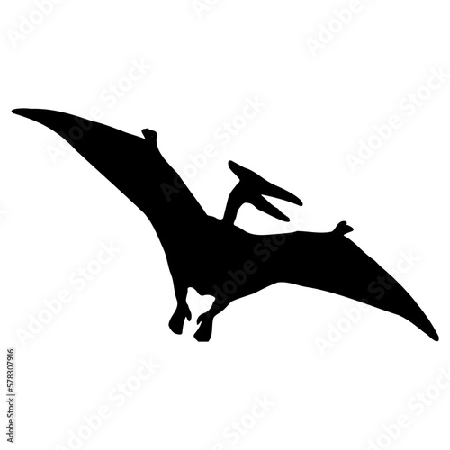 silhouette of a Pteranodon