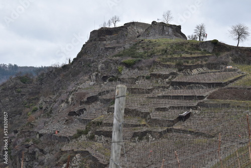 Burgruine Saffenburg vor Weinbergen