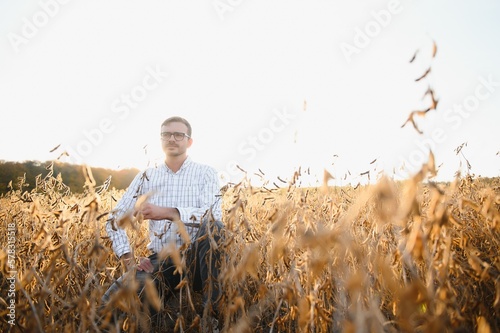 Agronomist inspects soybean crop in agricultural field - Agro concept - farmer in soybean plantation on farm