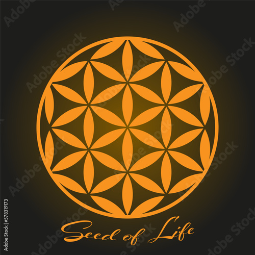 Seed of life ornament vector illustration on a dark gradient background