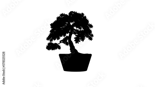 Oak Bonsai silhouette