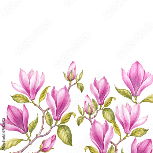 Differents flower magnolia on white background. Watercolor floral illustration © Kotkoa