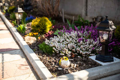 Spring garden, first spring flowers