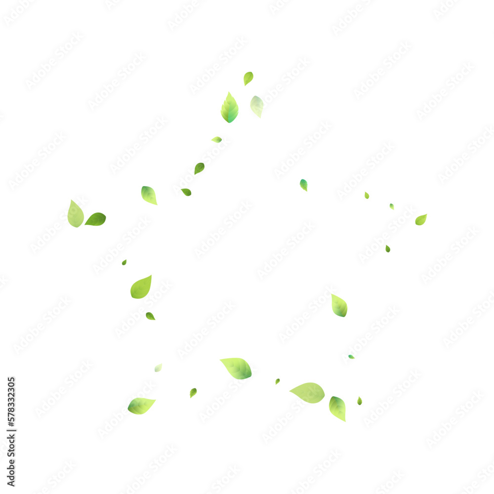 Leaves Green Falling Flying Foliage Leaf Tea Mint Leaves Green Falling Flying Foliage Leaf Tea Mint