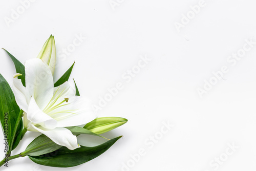 White liles flowers. Mourning or funeral background. Floral mock up photo