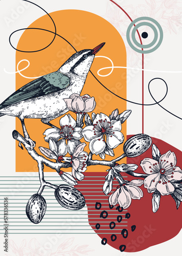 Collage-style bird card. Sketched nuthatch trendy poster. Creative designs with almond sketch, botanical illustrations, geometric shapes, and abstract elements for nature print, wall art, packaging.