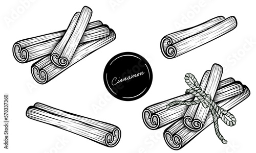 Set of cinnamon sticks tied with a rope hand drawn vector lineart illustration