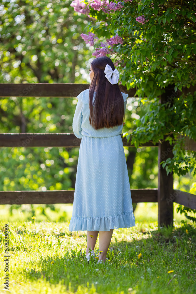 Naklejka premium rear view, girl in dress stands , with long hair, in the garden 