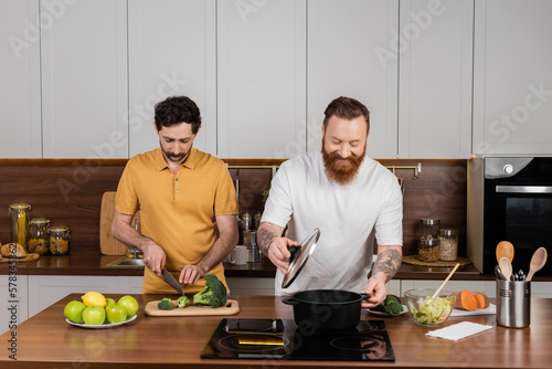 Bearded same sex couple cooking together in kitchen.