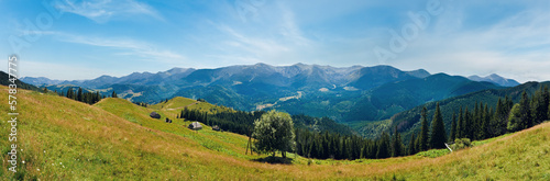 Summer mountain panorama (Carpathian, Ukraine)  with flowering grassland in front © wildman