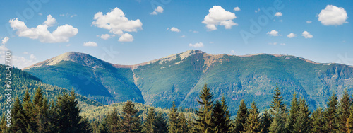 Morning misty autumn mountain landscape with fir forest on mountainside (Ivano-Frankivsk Region, Ukraine)