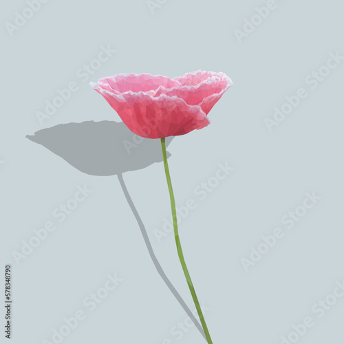 Low poly, geometrical, illustration of a pink and white poppy flower.