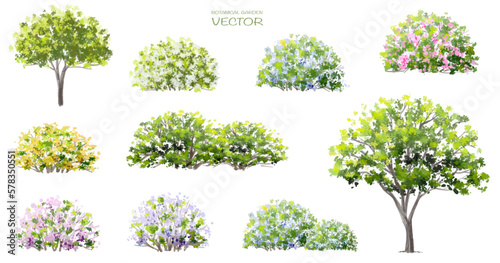 Vector watercolor of blooming tree isolated on white background for landscape pl Fototapeta