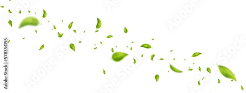 Green leaves flying on long white background. Leaf falling. Wave foliage ornament. Vegan, eco, organic design element. Cosmetic pattern border. Fresh tea banner. Beauty product. Vector illustration
