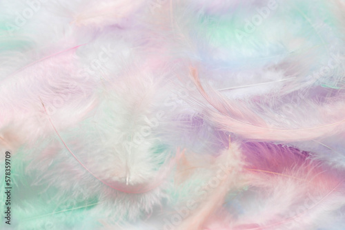 Beautiful abstract background of multicolored feathers on a white background. Fluffy  soft texture of pastel-colored feathers. A gentle banner.