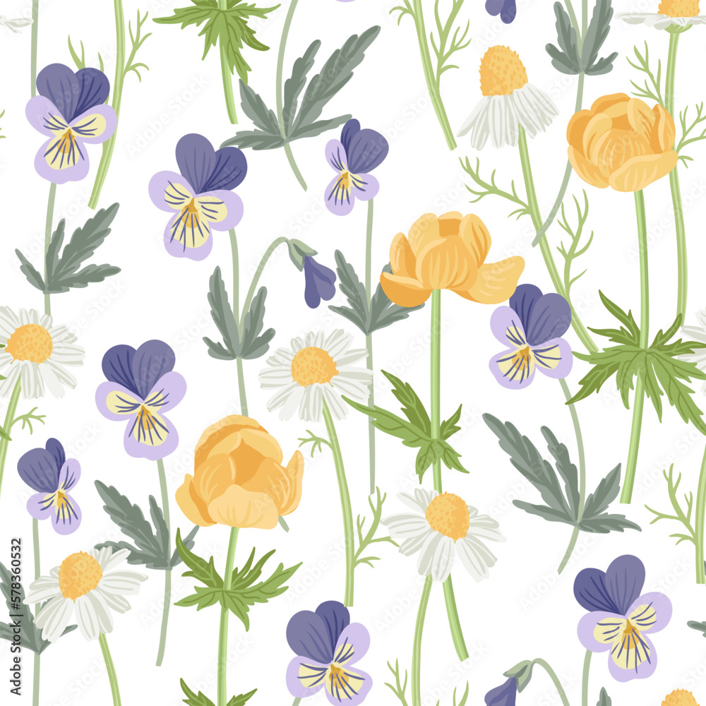 seamless pattern with wild pansy, yellow globeflowerxs and chamomiles, field flowers, vector drawing flowering plants at white background, floral elements, hand drawn botanical illustration