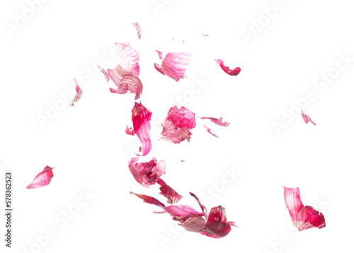 Fototapeta Naklejka Na Ścianę i Meble -  Shallots peel off fall fly in mid air, red fresh vegetable spice shallots peel off floating. Organic fresh herbal shallots peels. White background isolated freeze motion high speed shutter
