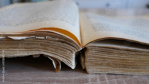 Pages of an old sepia book.