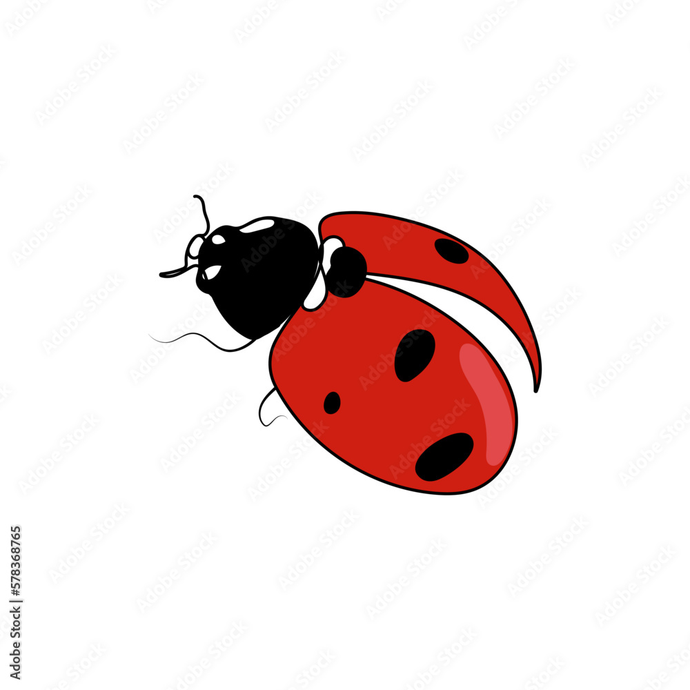 Fototapeta premium Red ladybug or ladybird. Line art vector illustration.