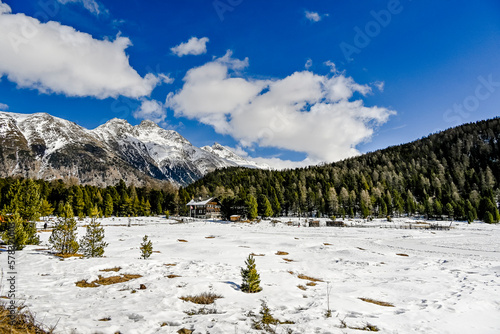 St. Moritz, Stazerwald, Stazersee, Pontresina, Winter, Winterwanderweg, Wintersport, Langlauf, Moorlandschaft, Alpen, Piz Languard, Schafberg, Oberengadin, Graubünden, Naturschutz, Schweiz photo