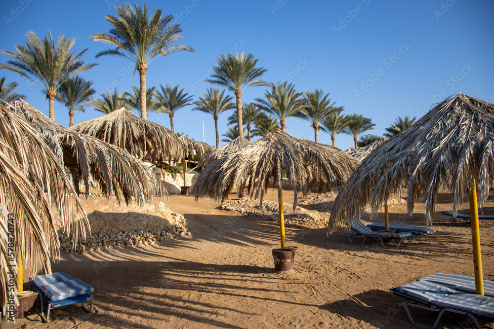 Desert coast line with dark blue water, palm trees and clear blue sky with sun loungers and palapa