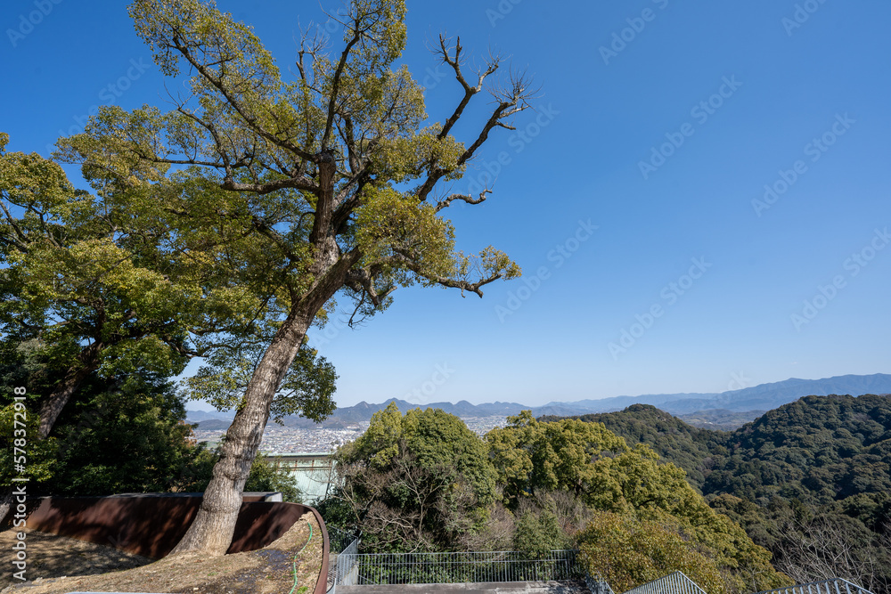 Fototapeta premium 金比羅山の風景