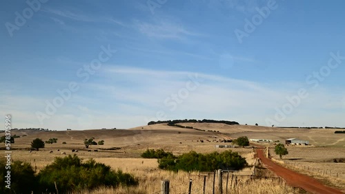flying over a dry cattle farm in summer in australia