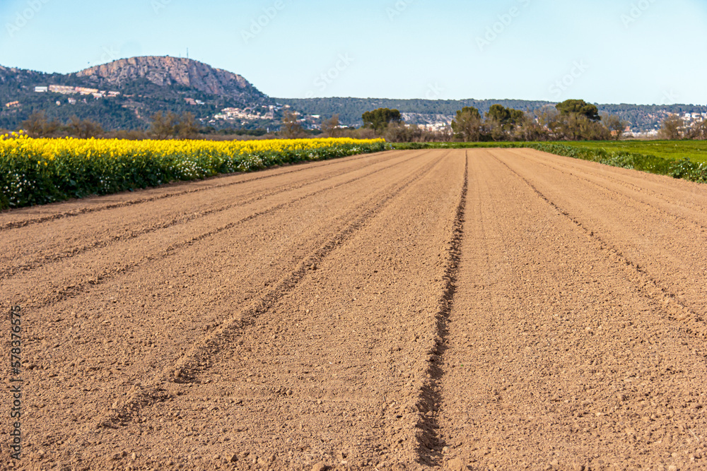 ploughed field ready for cultivation ploughed field ready for cultivation
