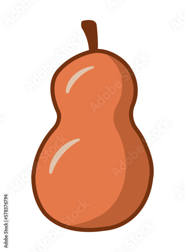 Illustration of orange pumpkin squash for Halloween or Thanksgiving festivals decoration. Autumn clipart. Isolated vector and PNG illustration on transparent background.