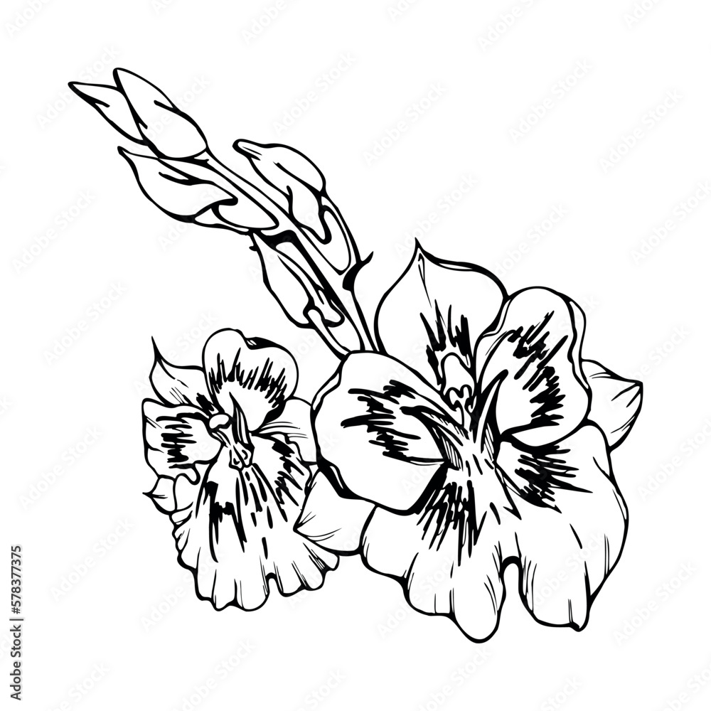 Obraz premium Hand drawn vector ink orchid flowers, stems, leaves, monochrome, detailed outline. Composition with branches. Isolated on white background. Design for wall art, wedding, print, tattoo, cover, card.