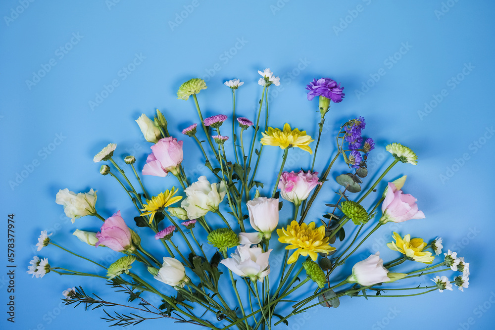 Beautiful colourful summer bouquet separate flowers on blue background