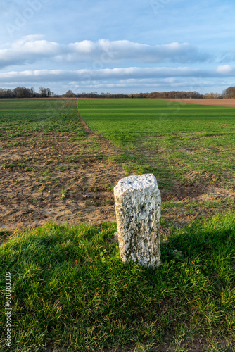 Bornage de parcelles agricoles. Borne en pierre délimitant 2 champs contigus