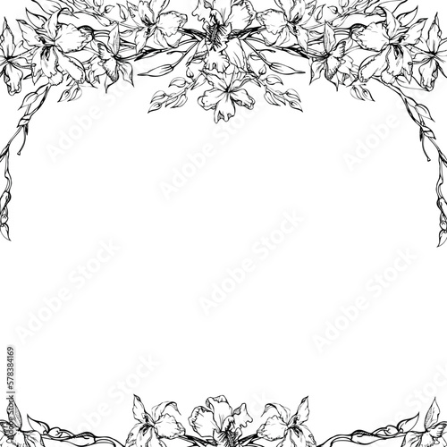 Hand drawn vector ink orchid flowers and branches, monochrome, detailed outline. Square frame composition. Isolated on white background. Design for wall art, wedding, print, tattoo, cover, card.