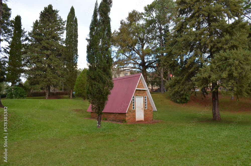 Fototapeta premium little house in the woods