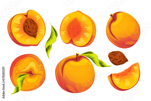 A set of peaches.Natural, fresh, organic fruits.Vector illustration.