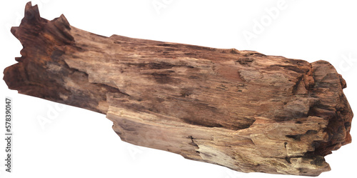 Bog wood