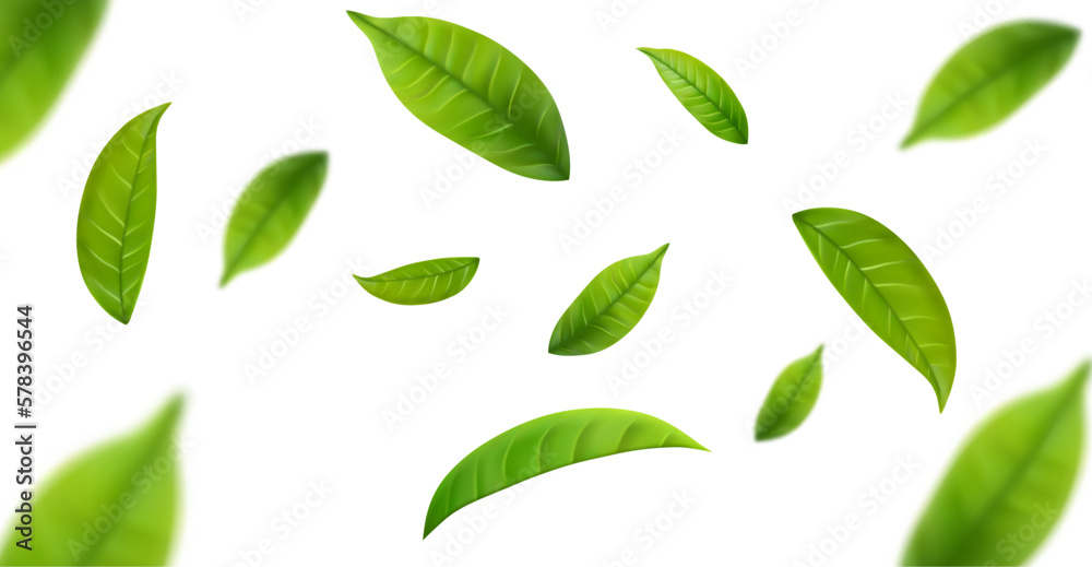 Realistic green tea leaves in motion - obrazy, fototapety, plakaty 