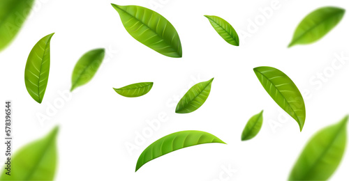 Leinwand Poster Realistic green tea leaves in motion