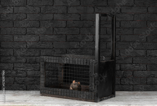 metal mesh animal trap cage photo