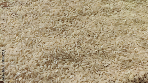 White cereals rice for background and texture. Product and food stored for a long time. Partial focus