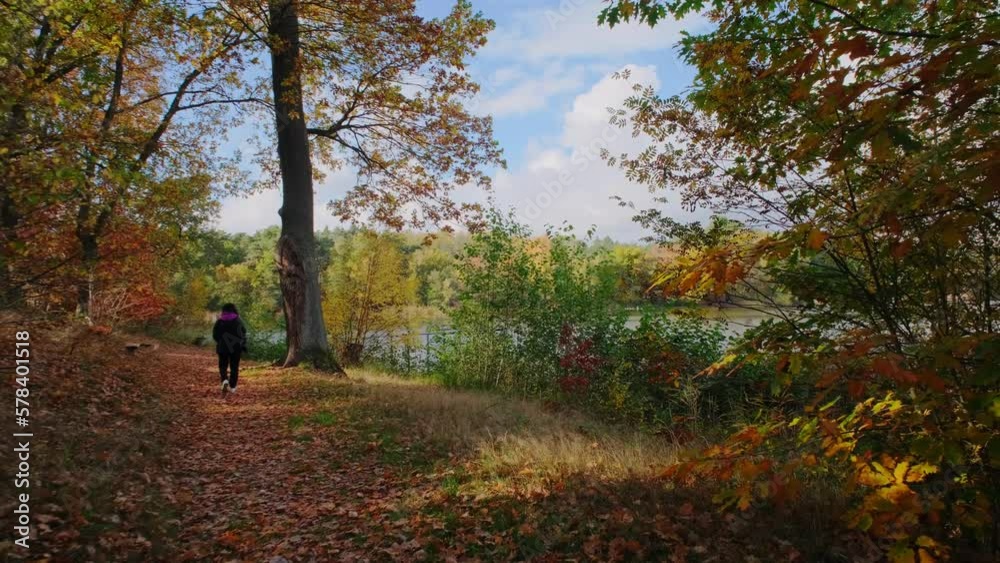 Rear view of a woman travels through an autumn forest Rear view of a woman travels through an autumn forest