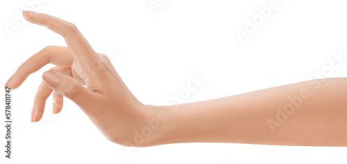 Elegant female hand, perfect skin, manicure. Hand hold. Sign and gesture. Photograph of a woman's hand, emphasizing community and togetherness.