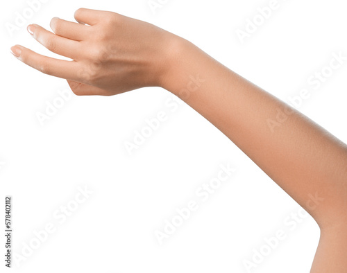 Beautifully hand holding something, concept for tech or social media-related content. Well-manicured hand holding. Nature or gardening-related promotions concept.