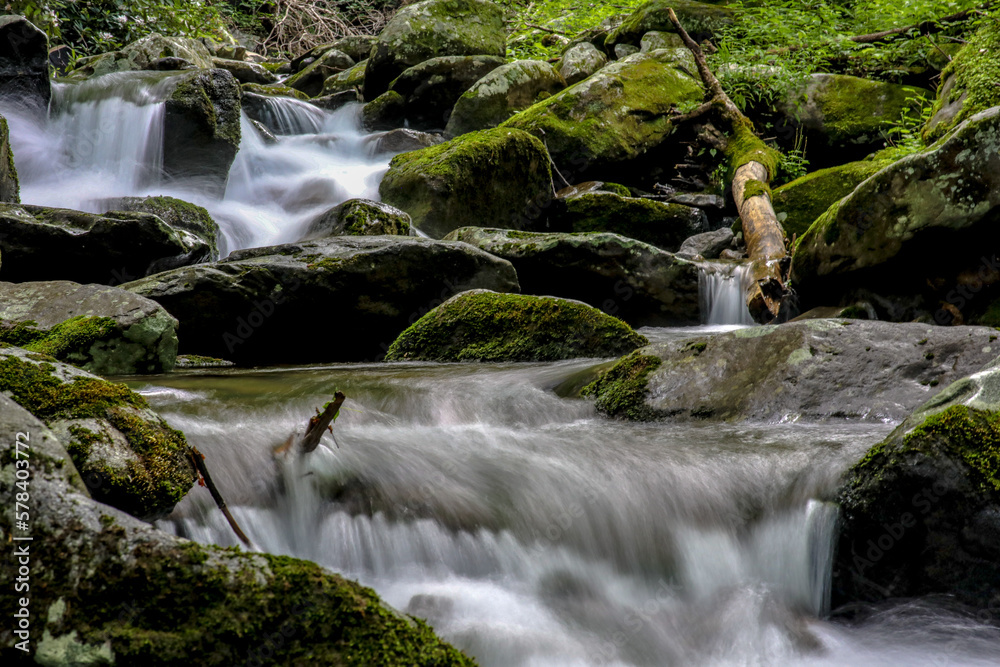 Obraz premium waterfall in the forest