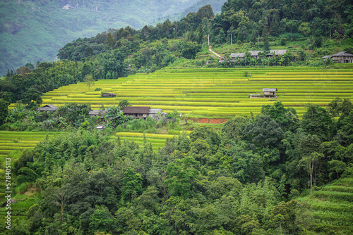 rice terraces in Ha Giang